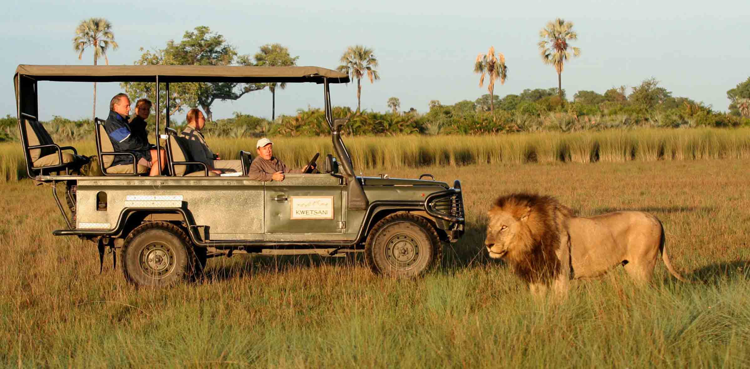 Wilderness Safaris' secretive tax havens – Botswana Gazette
