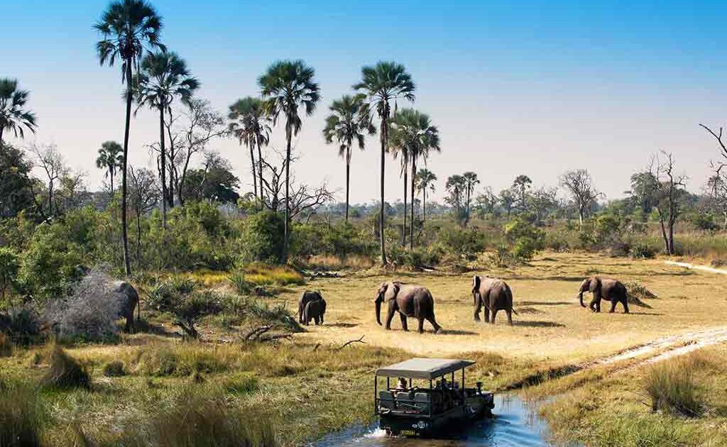 Botswana “Colonized” Tourism Industry Botswana Gazette