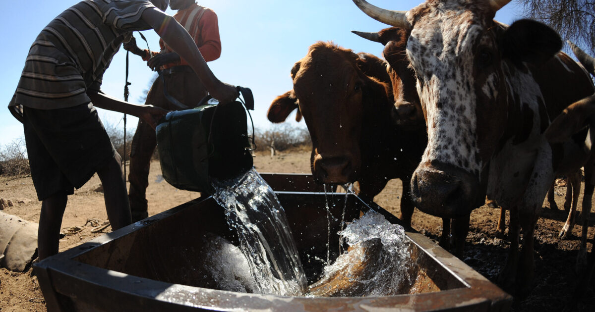 FMD Mess Likely an Inside Job-Prof Masupu