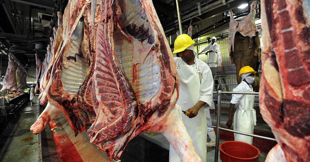 BMC’s FMD Contingency Plans