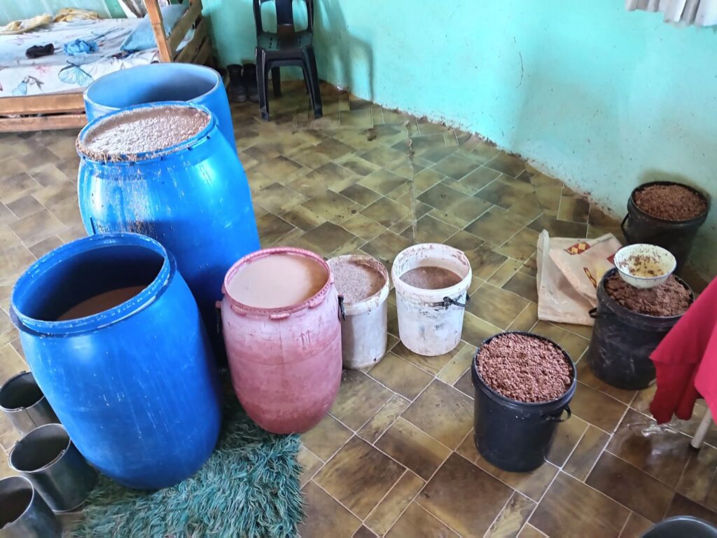 How Traditional Beer Brewed Botswana's Livelihoods 