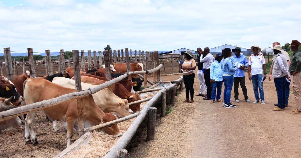 Pressure Mounts On Boko Over Dikoloti