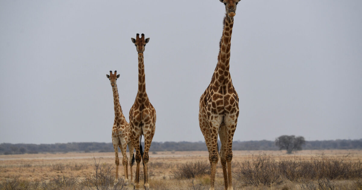 Deadlock Over Tourism Fees