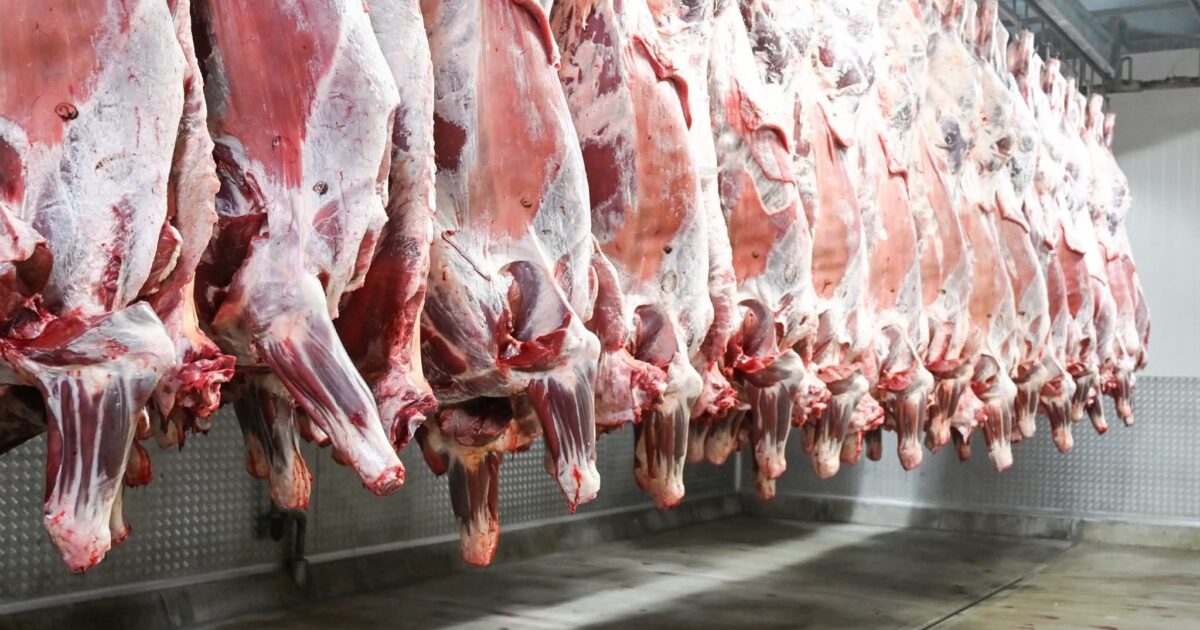 UK Ban Sparks Beef Dispute