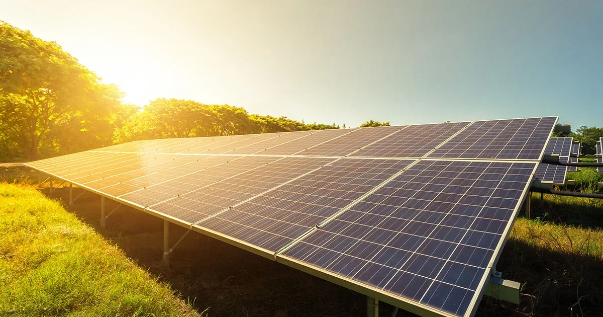 RDC Expands Solar, Profit Rises