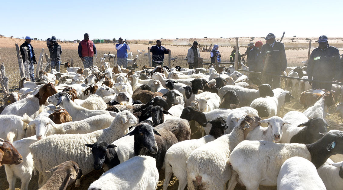 Botswana–Saudi Small Stock Market Deal Collapses 