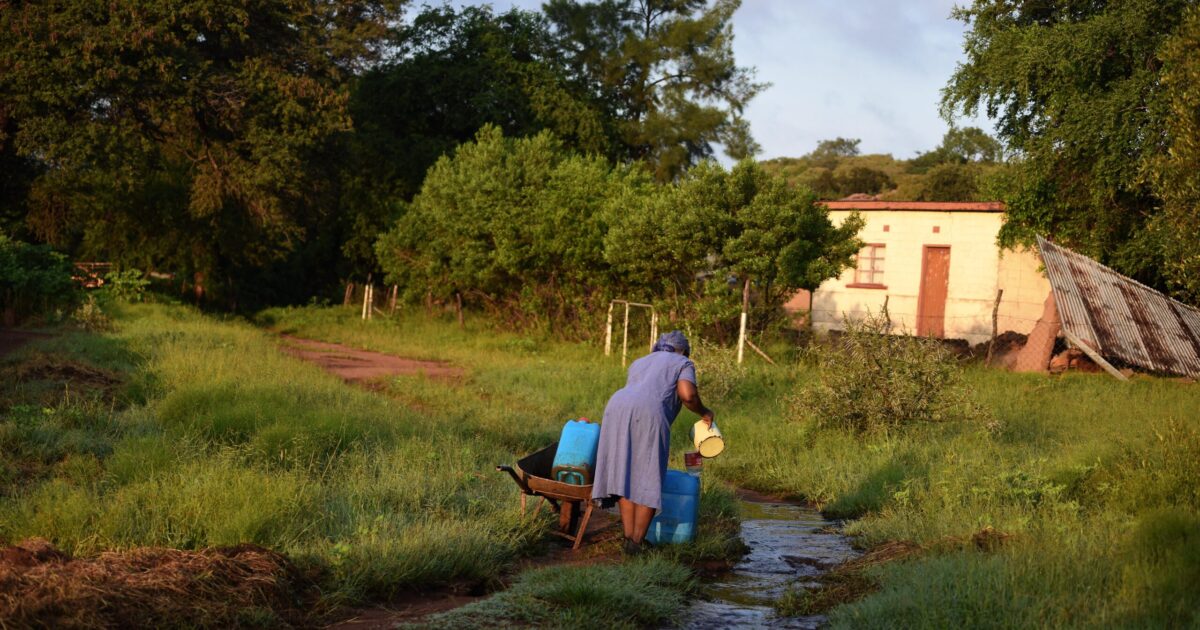Botswana’s Quiet Ecological Revolution