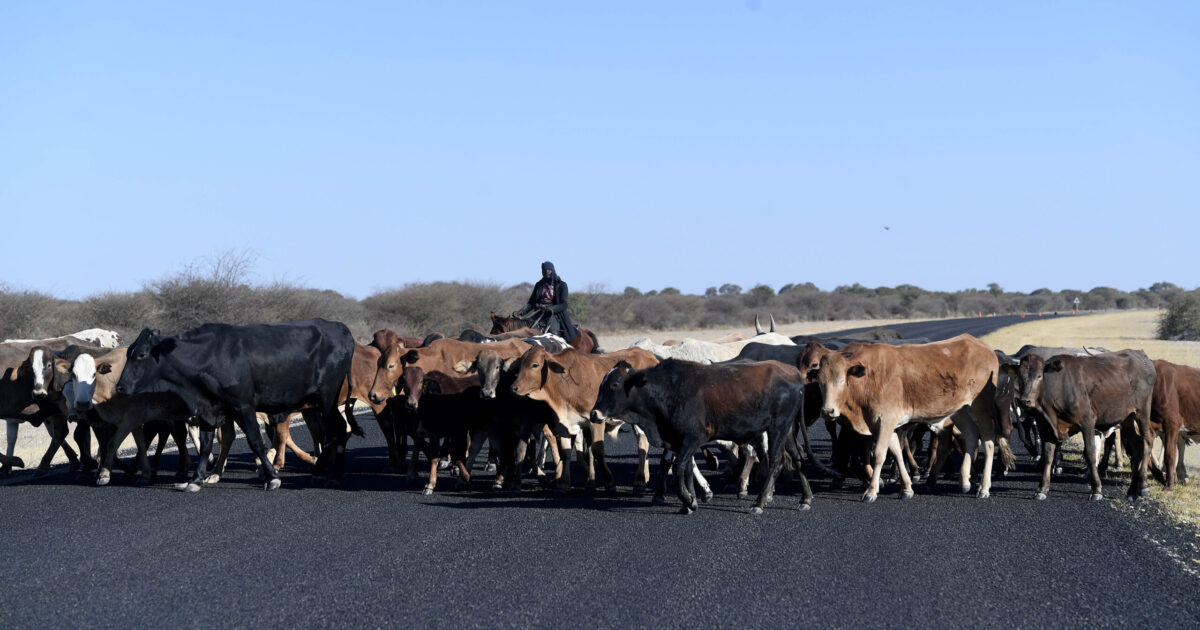 Botswana Proposes Law for Permanent Livestock Seizure in FMD Zones